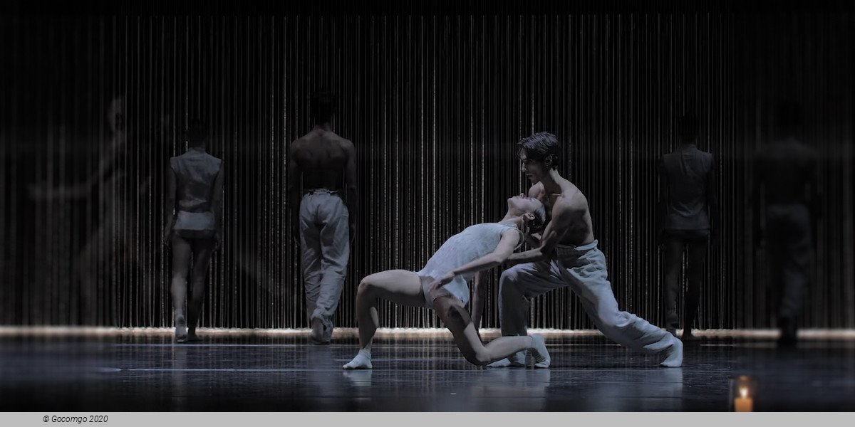 Scene 3 from the modern ballet "Gods and Dogs", photo 4