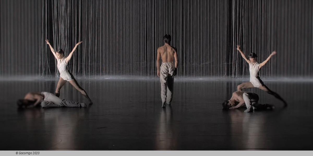 Scene 4 from the modern ballet "Gods and Dogs", photo 5