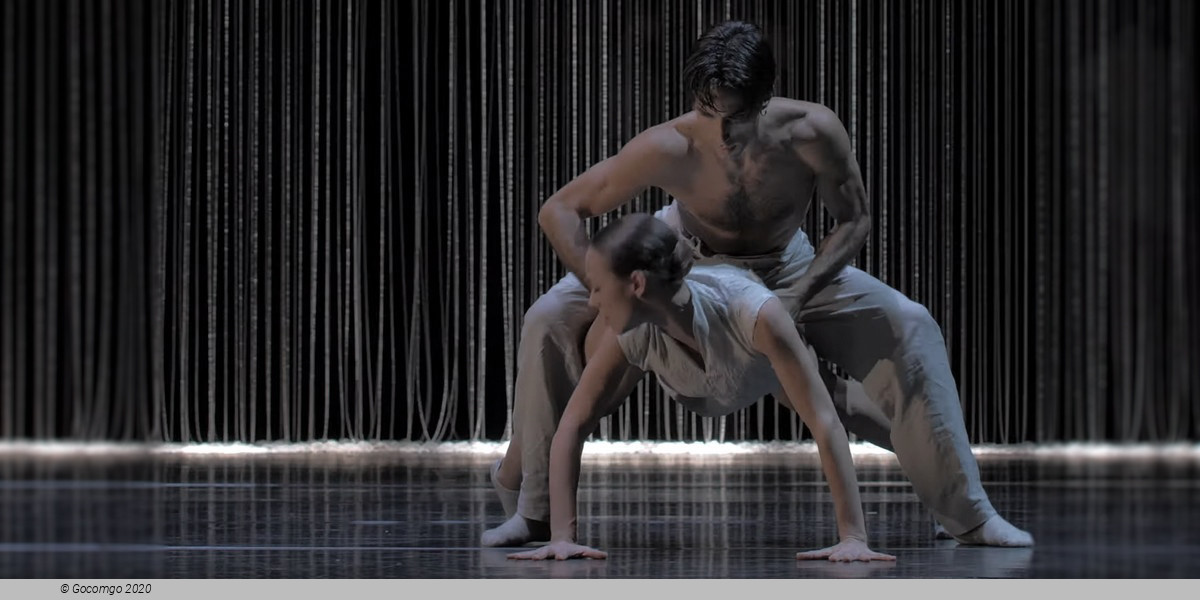 Scene 5 from the modern ballet "Gods and Dogs", photo 1