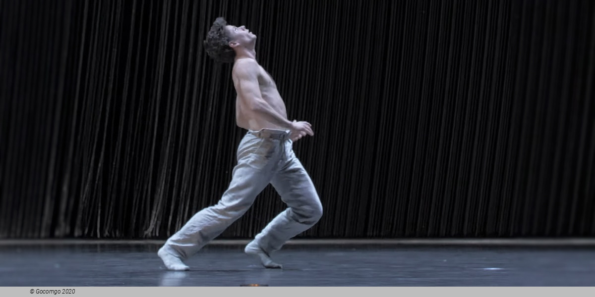 Scene 6 from the modern ballet "Gods and Dogs", photo 6