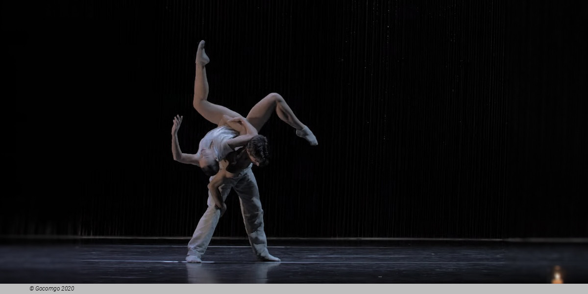 Scene 7 from the modern ballet "Gods and Dogs", photo 7