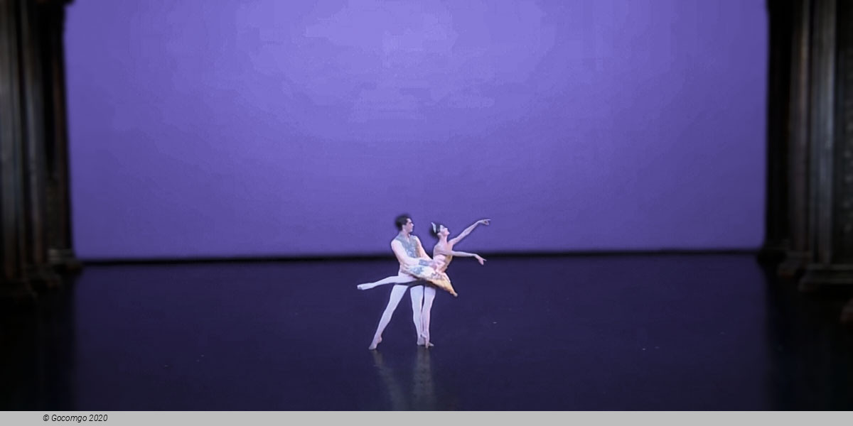 Theme and Variations, photo 19