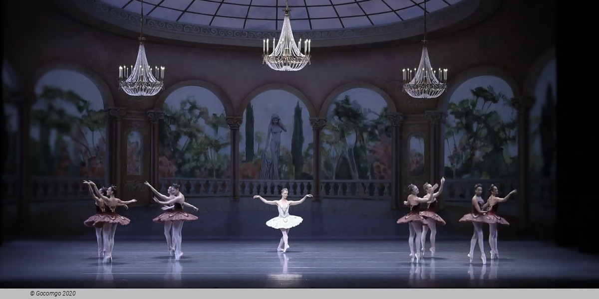 Theme and Variations