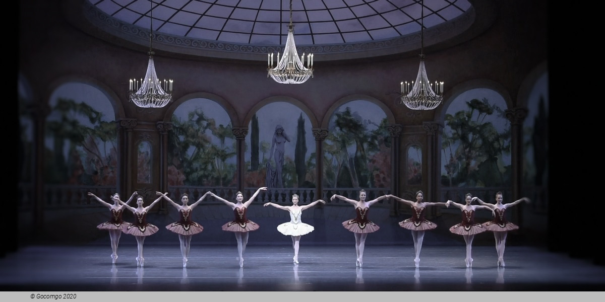 Theme and Variations