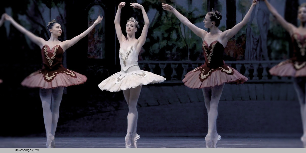 Theme and Variations