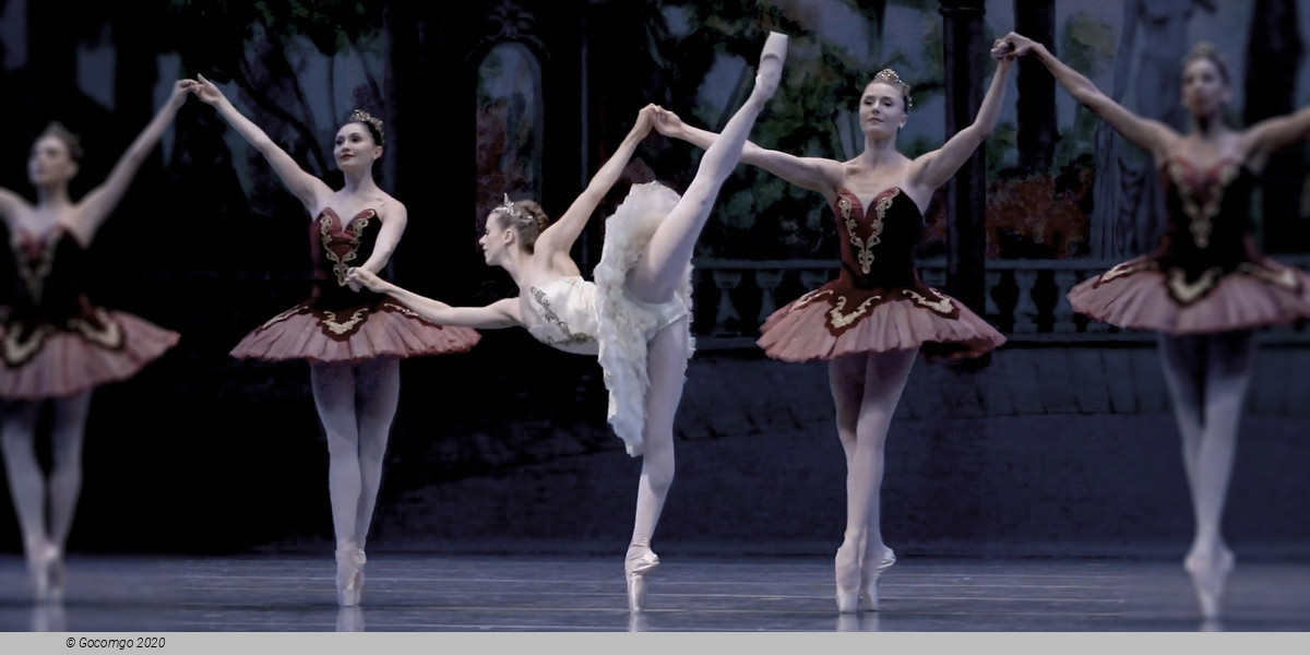 Theme and Variations