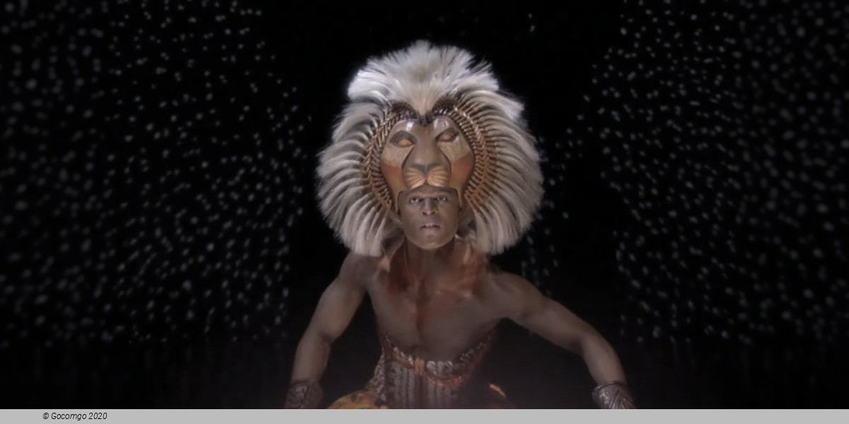 Scene 11 from the musical "The Lion King", photo 16