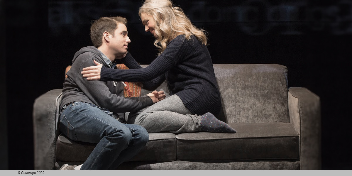 Scene 2 from the musical "Dear Evan Hansen", photo 2