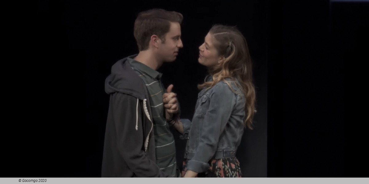 Scene 4 from the musical "Dear Evan Hansen", photo 4