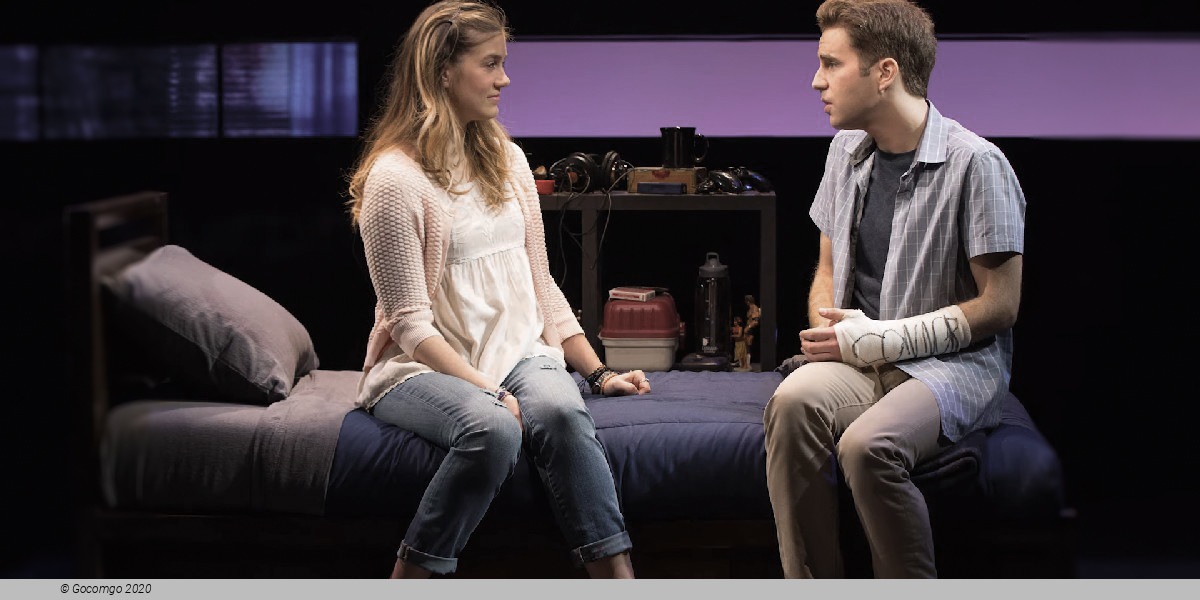 Scene 6 from the musical "Dear Evan Hansen", photo 6