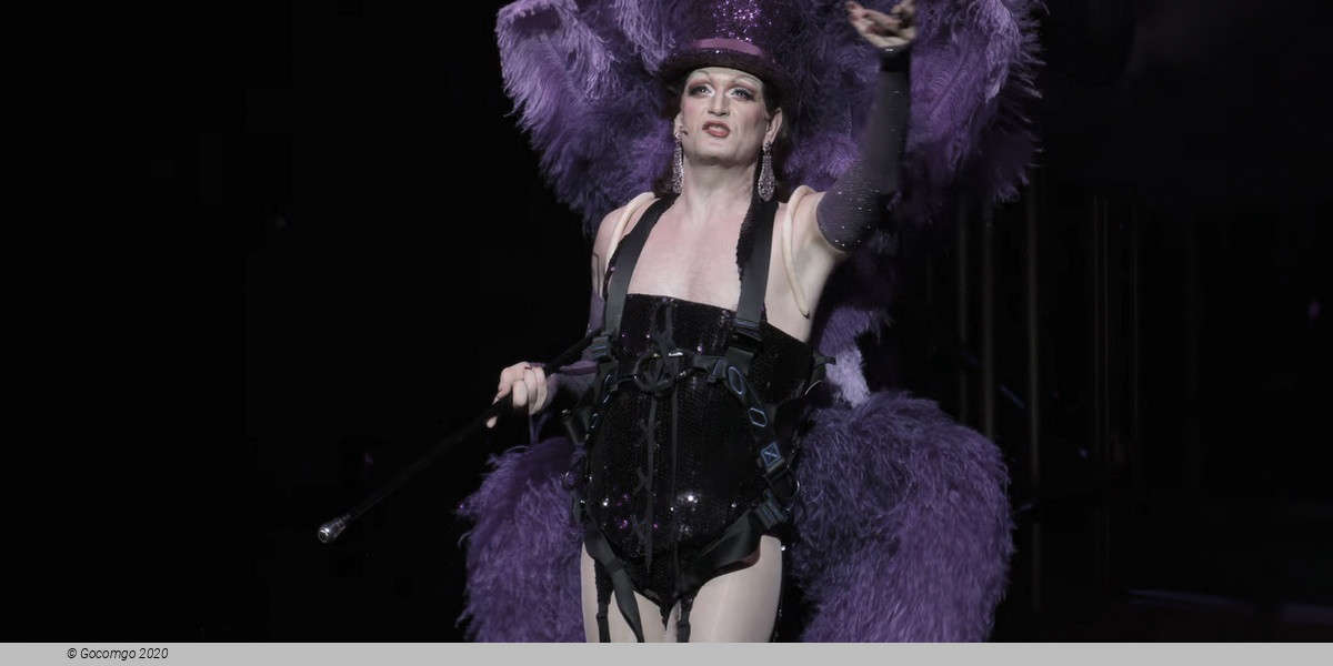 Scene 1 from the musical "La Cage aux Folles", photo 2