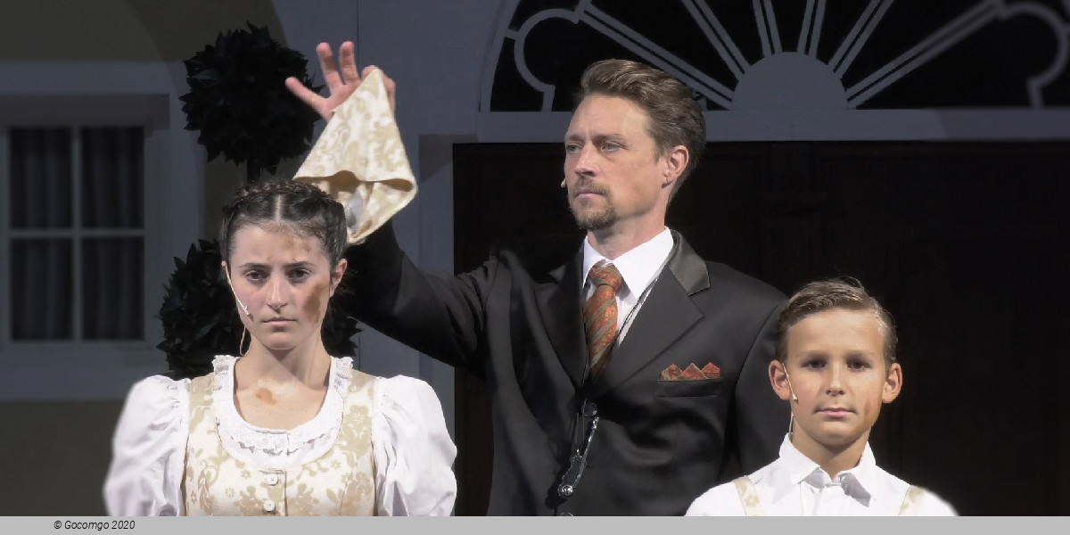 Scene 4 from the musical "The Sound of Music", photo 4