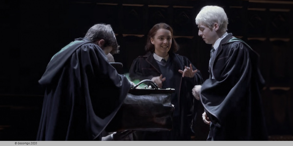 Scene 13 from the show "Harry Potter and the Cursed Child", photo 13