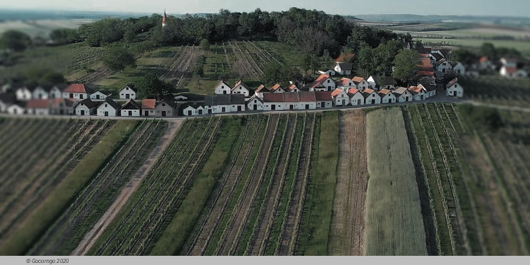 Weinviertel Festival, photo 1