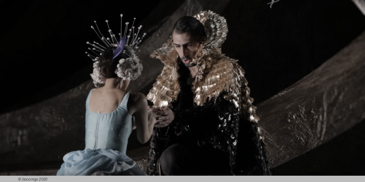 Thurn and Taxis Castle Festival, opera "The Magic Flute", photo 2